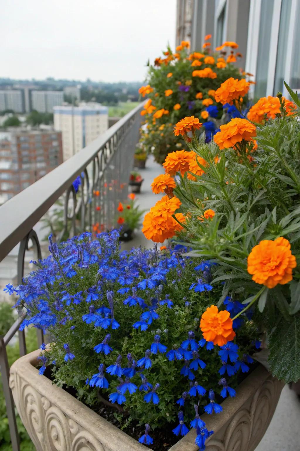 Unexpected color combos create a visually stunning display.