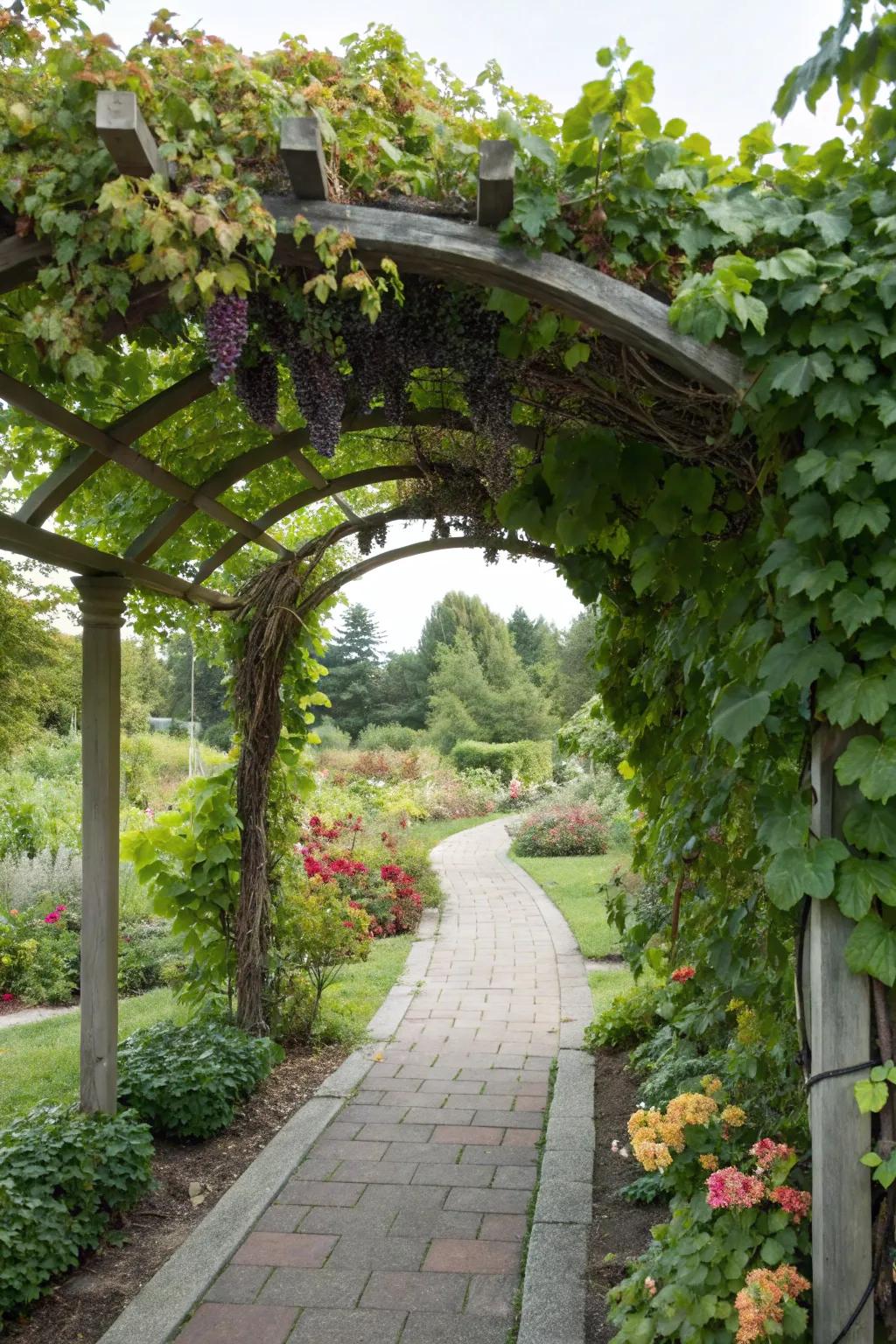 A pergola archway creating a captivating garden entrance.