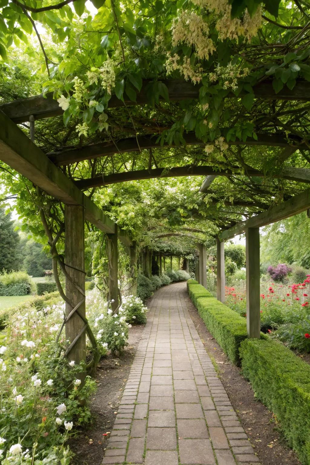 A garden pathway transformed into a magical walkway with a honeysuckle-covered pergola.