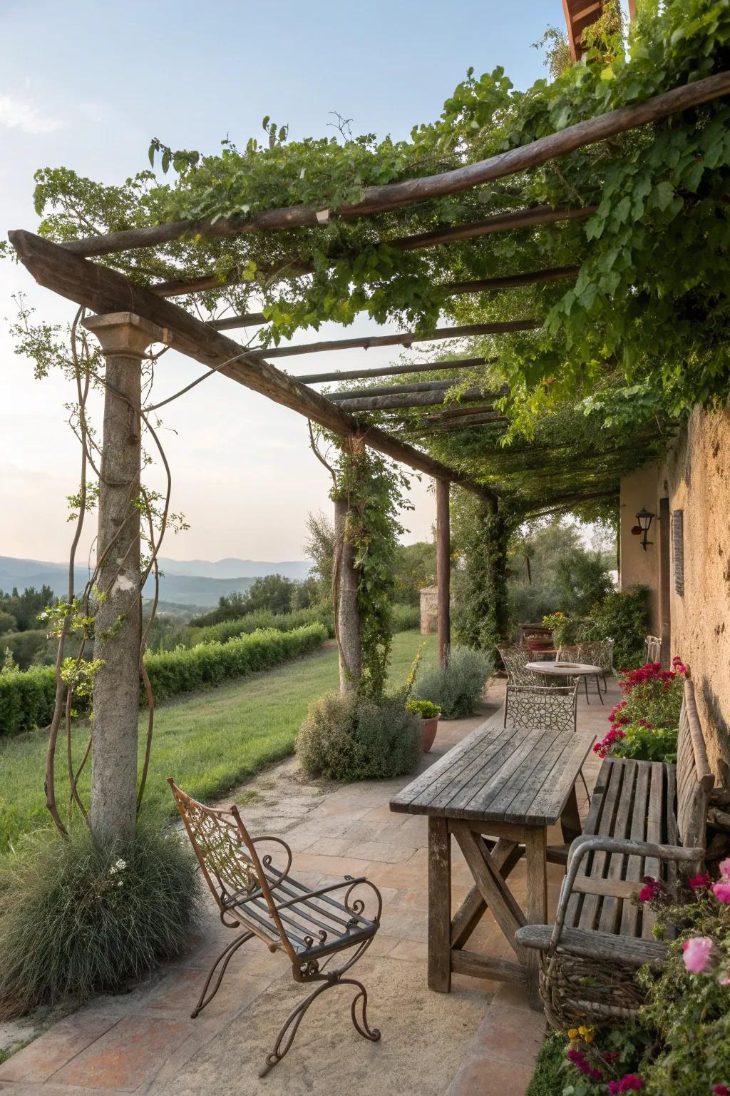 Rustic furniture adds charm and comfort to this pergola space.