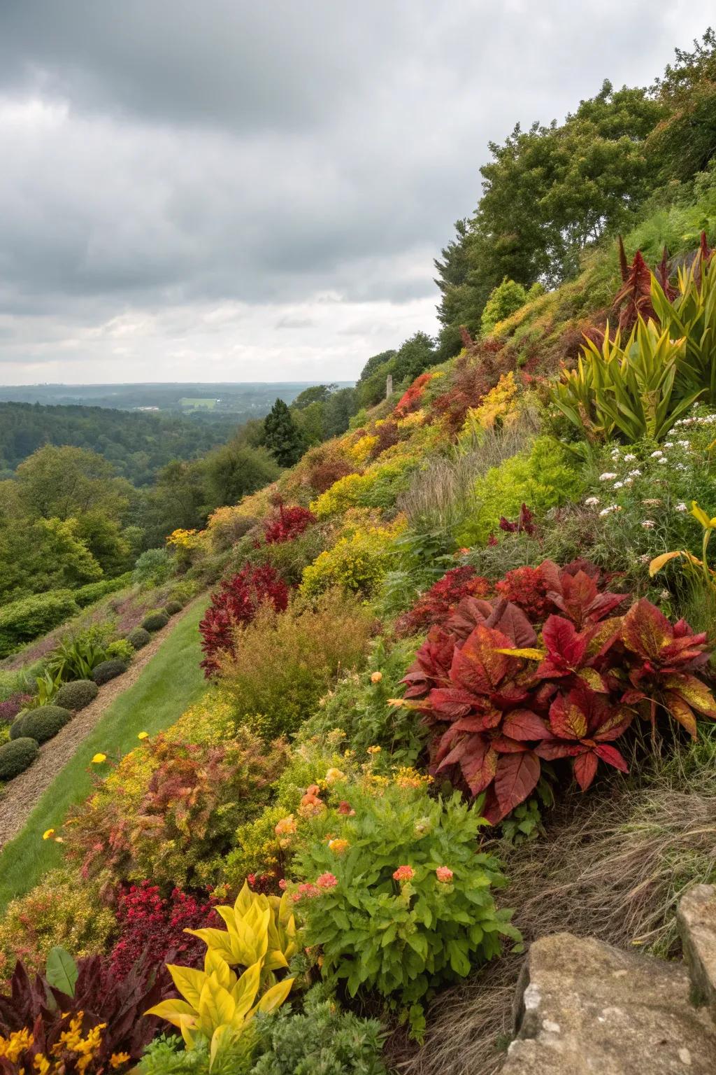 Colorful foliage keeps your landscape lively throughout the year.