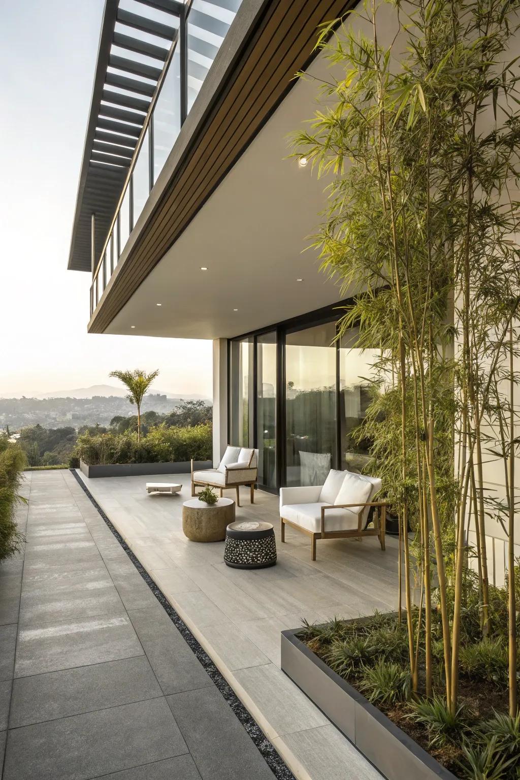 Bamboo brings warmth and elegance to modern outdoor living spaces.