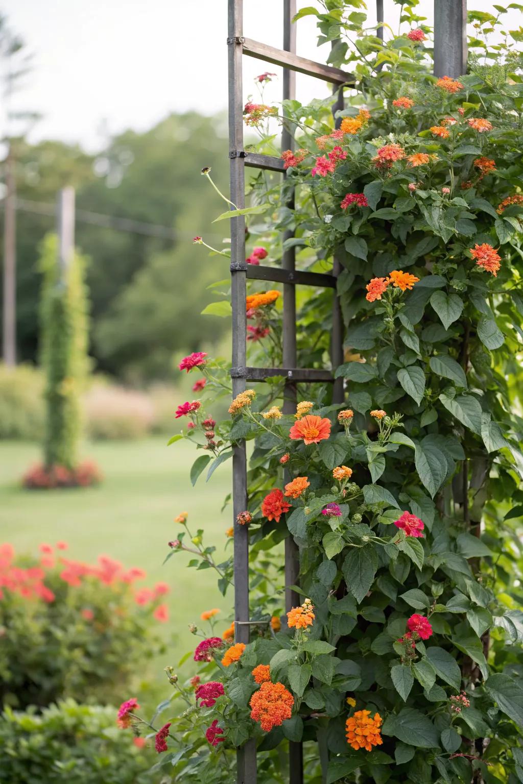 Transform your garden with lantana in vertical displays.