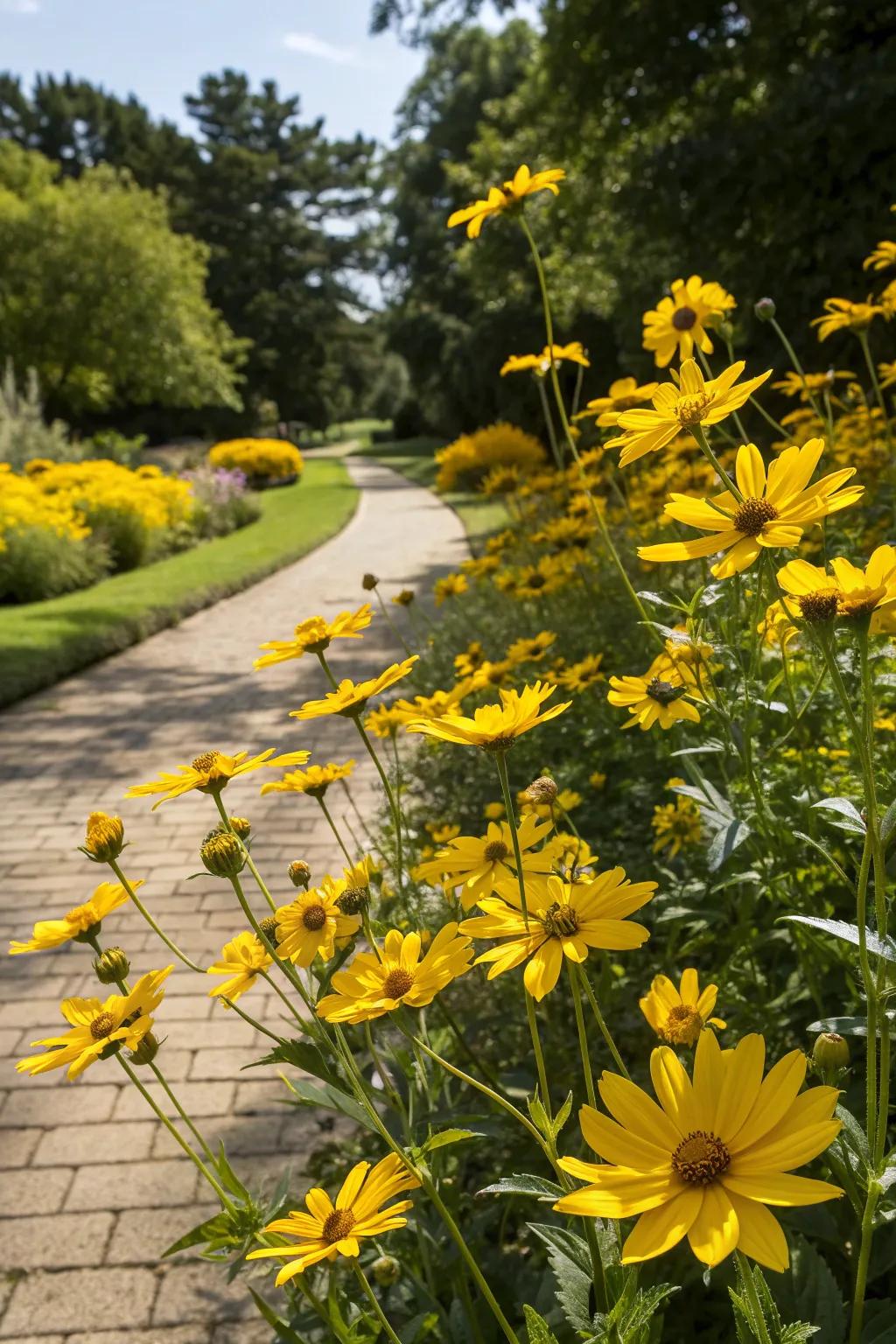 A cheerful garden infused with sunny yellow blooms.