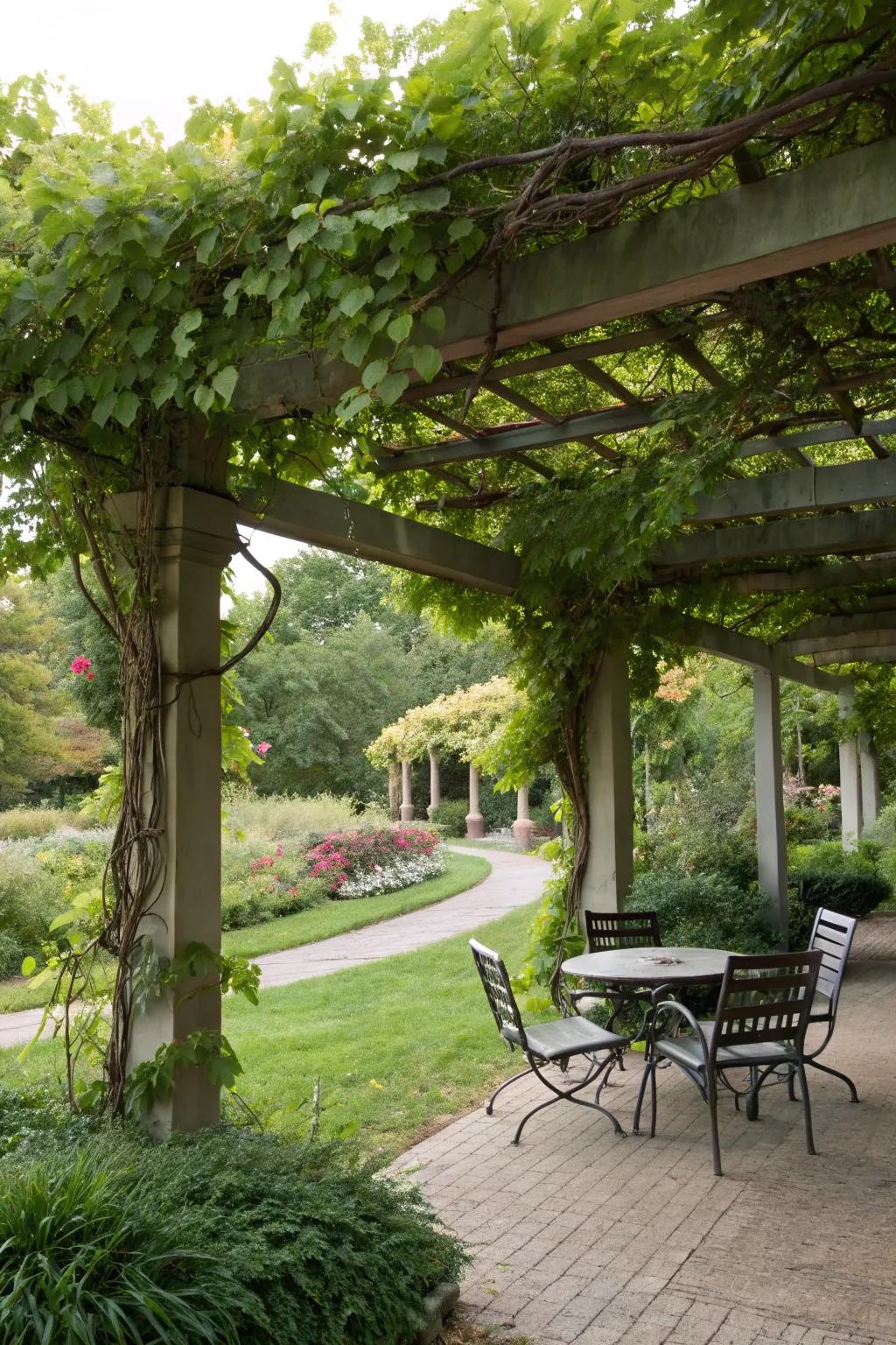 Find solace under a beautifully crafted pergola.