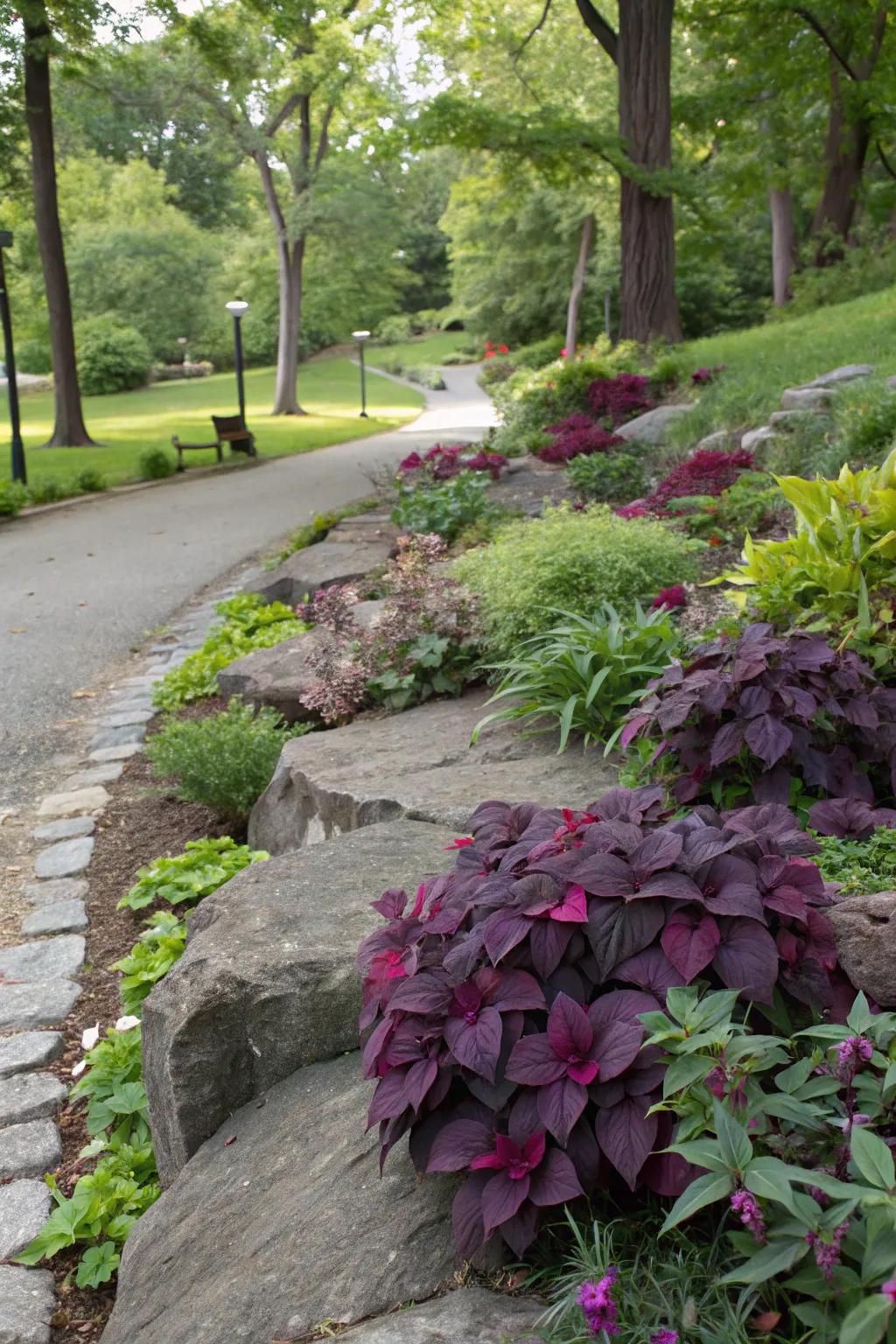 Colorful foliage enhances visual appeal.