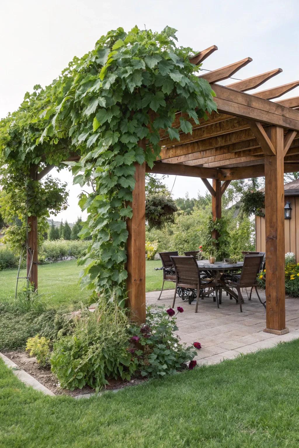 Enhance your patio with a pergola for shade and style.