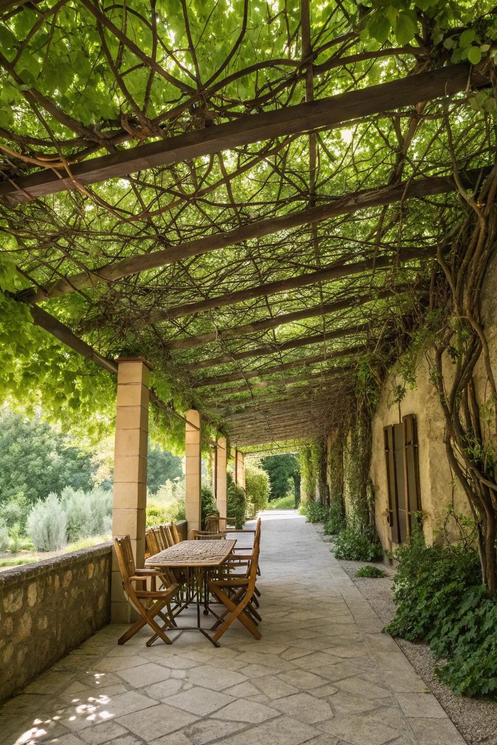 Lattice pergolas offer a romantic and classic charm to patios.