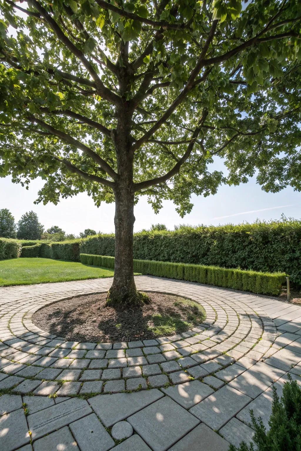 Interlocking pavers creating a seamless border around a tree.