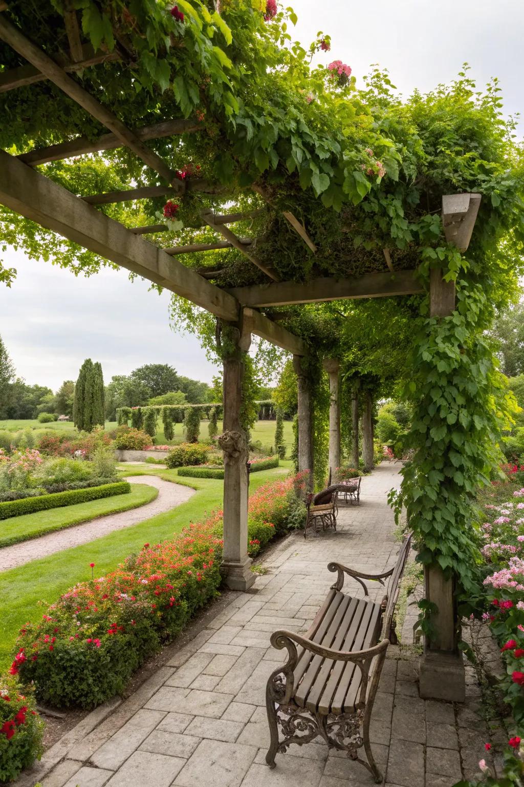 A pergola covered in greenery creates a cozy and romantic garden nook.