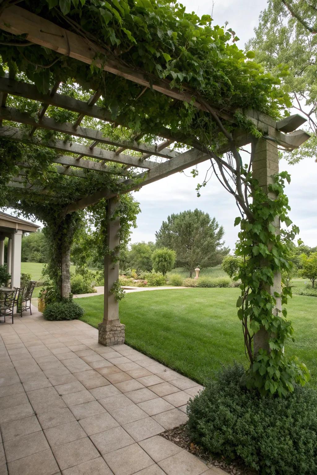 A pergola offers shade and an elegant structure for your outdoor space.