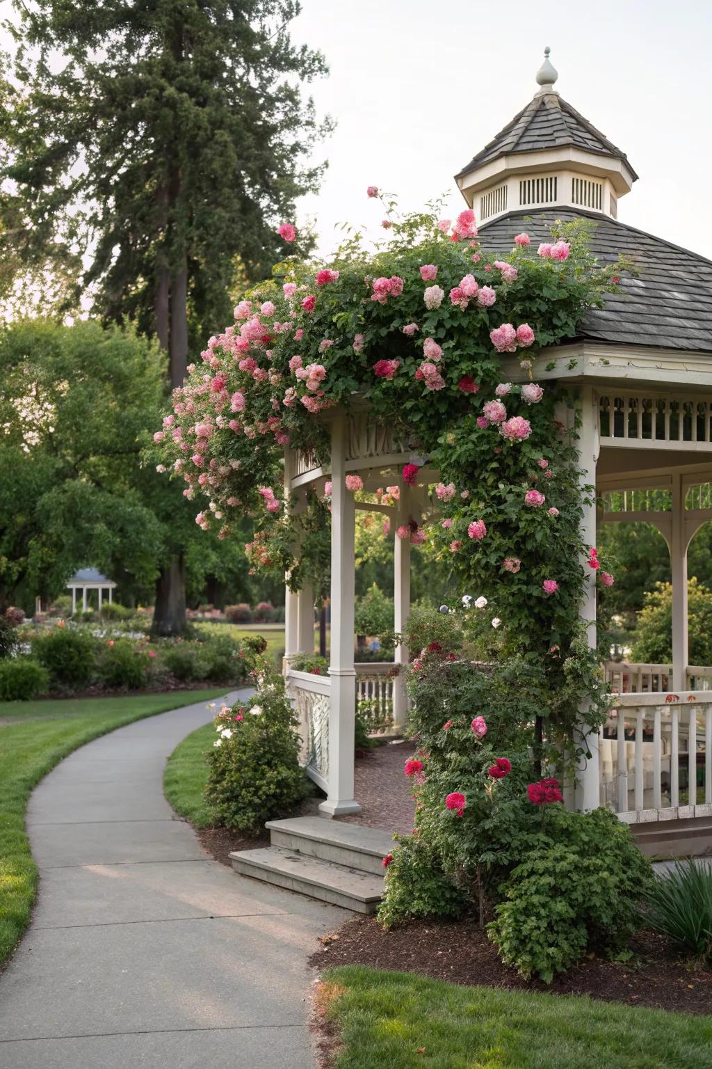 A gazebo transformed by the elegance of cascading roses.