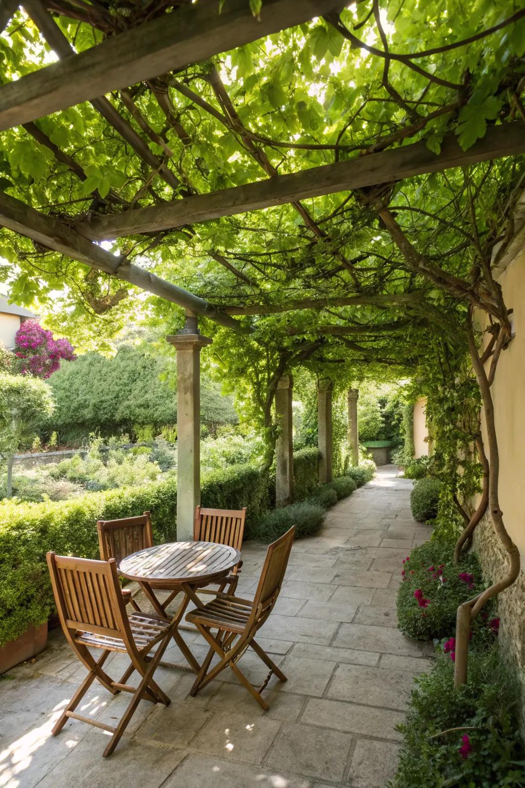 Trellises with vines offer a natural and eco-friendly shade option.