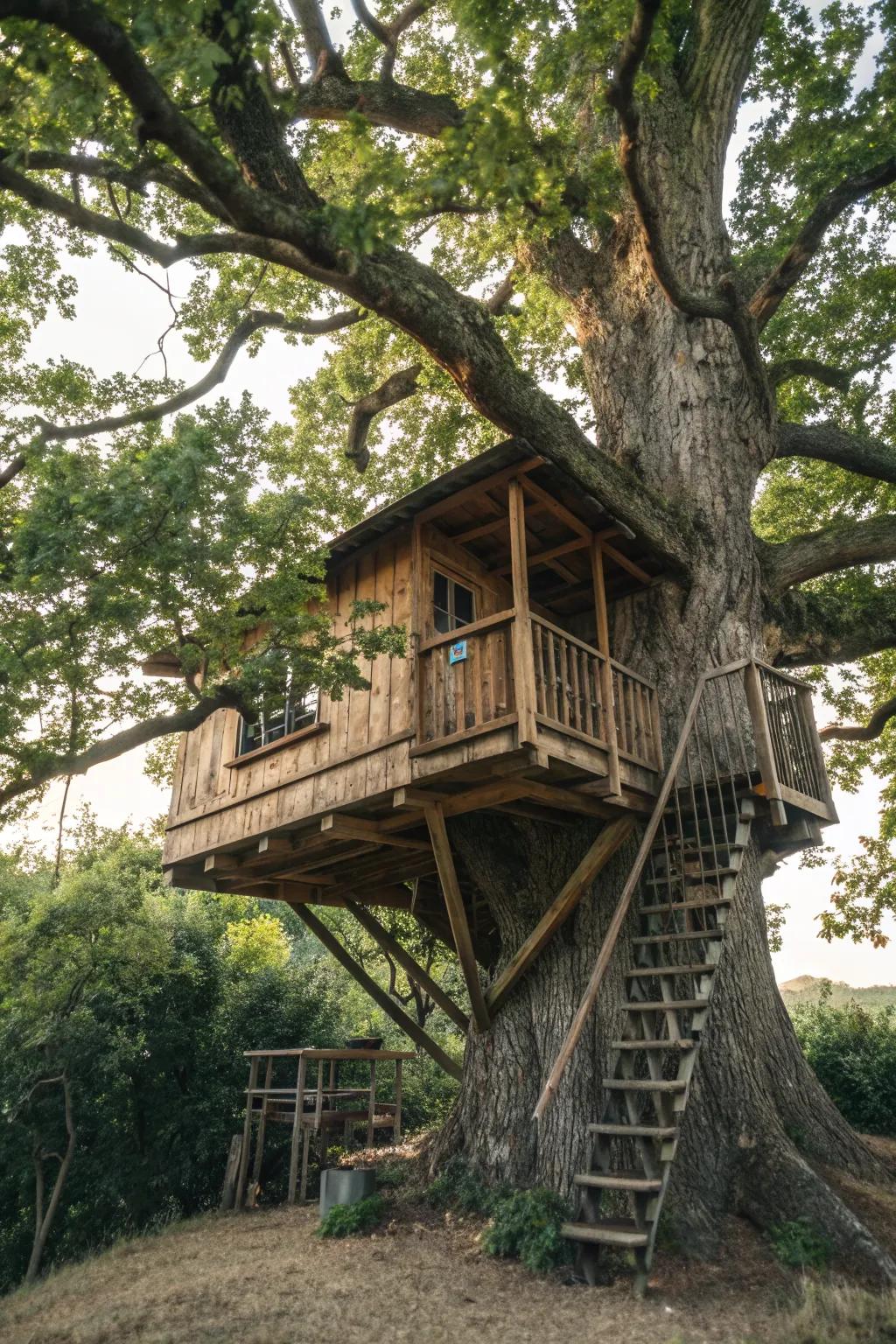 A tree house designed with the tree as a central feature, creating a harmonious natural retreat.