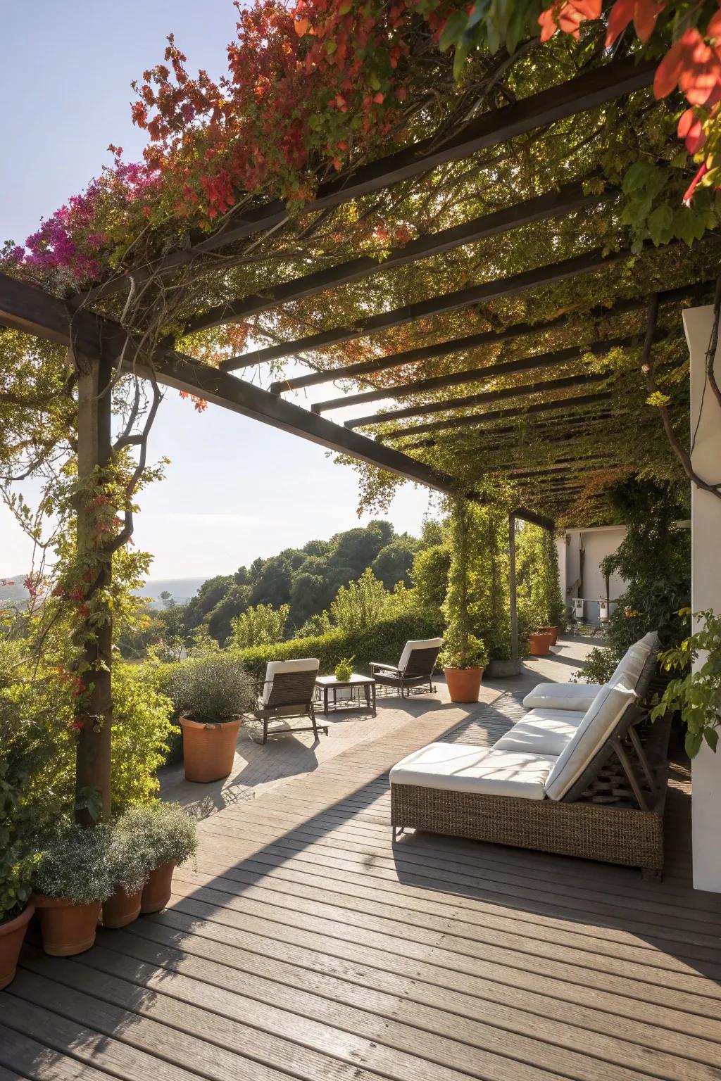 A pergola that combines style and function.
