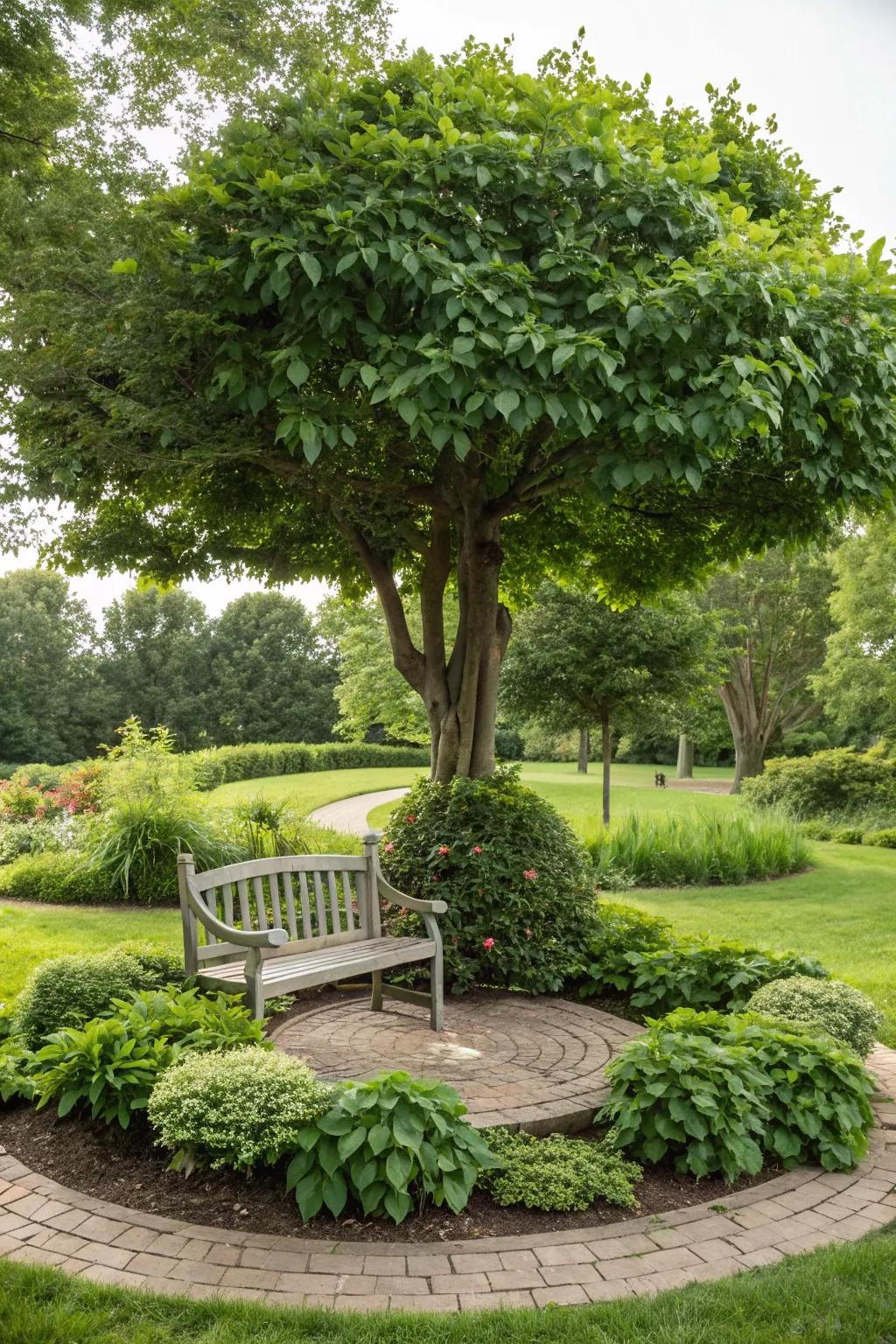 Create a cozy retreat with a seating area in your tree island.
