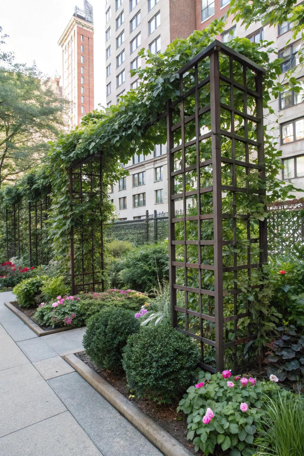 A privacy screen trellis provides seclusion with dense foliage in an urban garden.