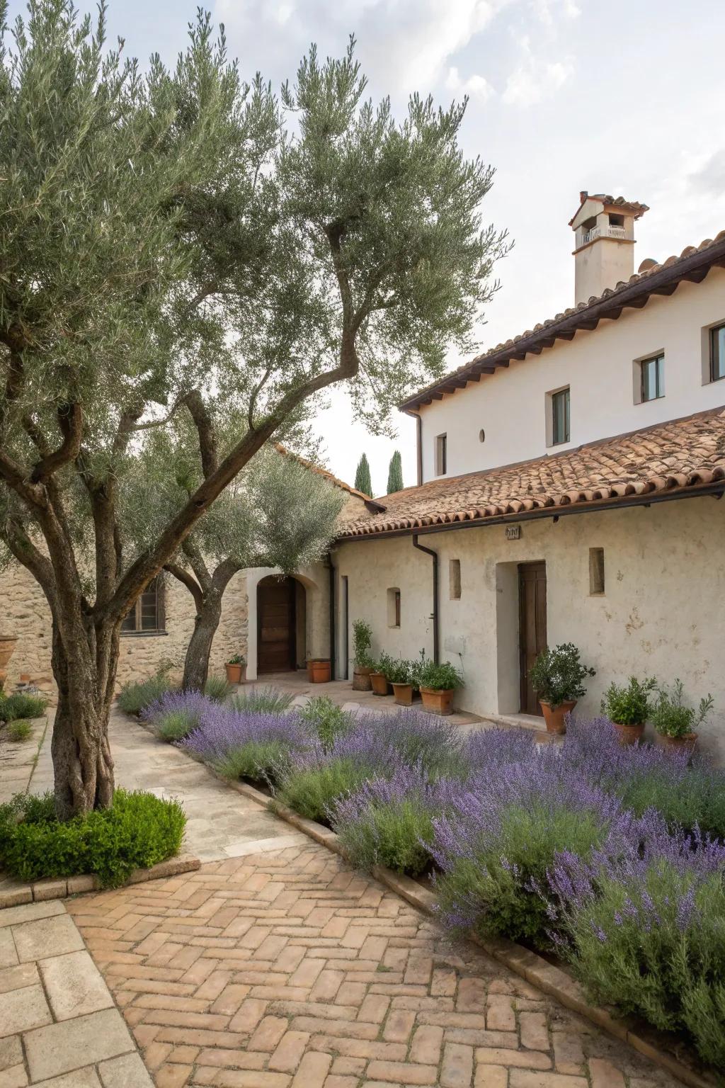 Mediterranean plants add authenticity to this courtyard.