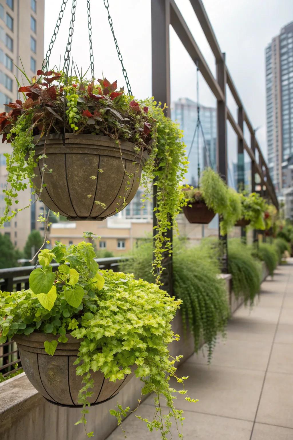 Create a hanging garden to maximize your space.