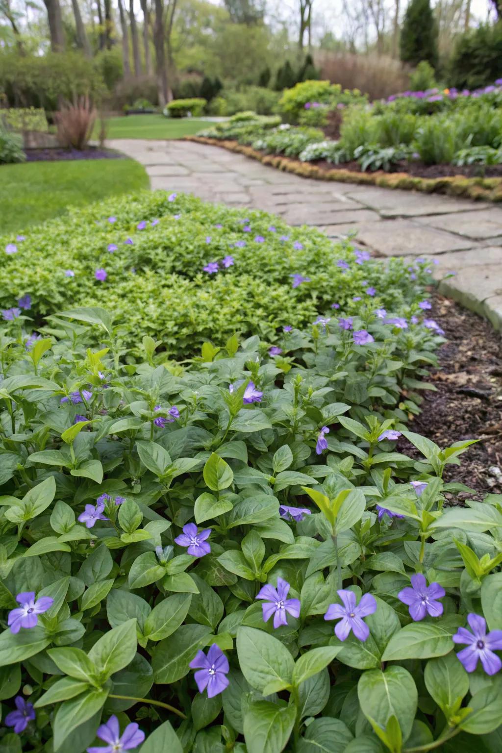 16 Creative Vinca Garden Ideas For Your Home 16 Creative Vinca Garden Ideas For Your Home