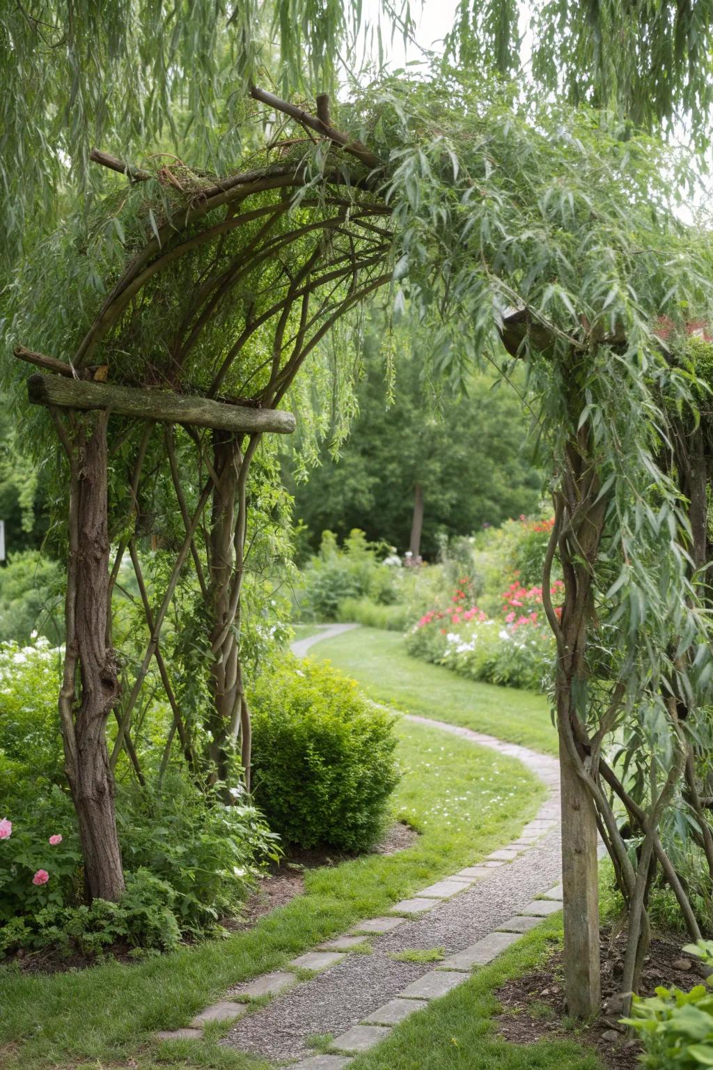 A willow arbor adds a whimsical touch to any garden.