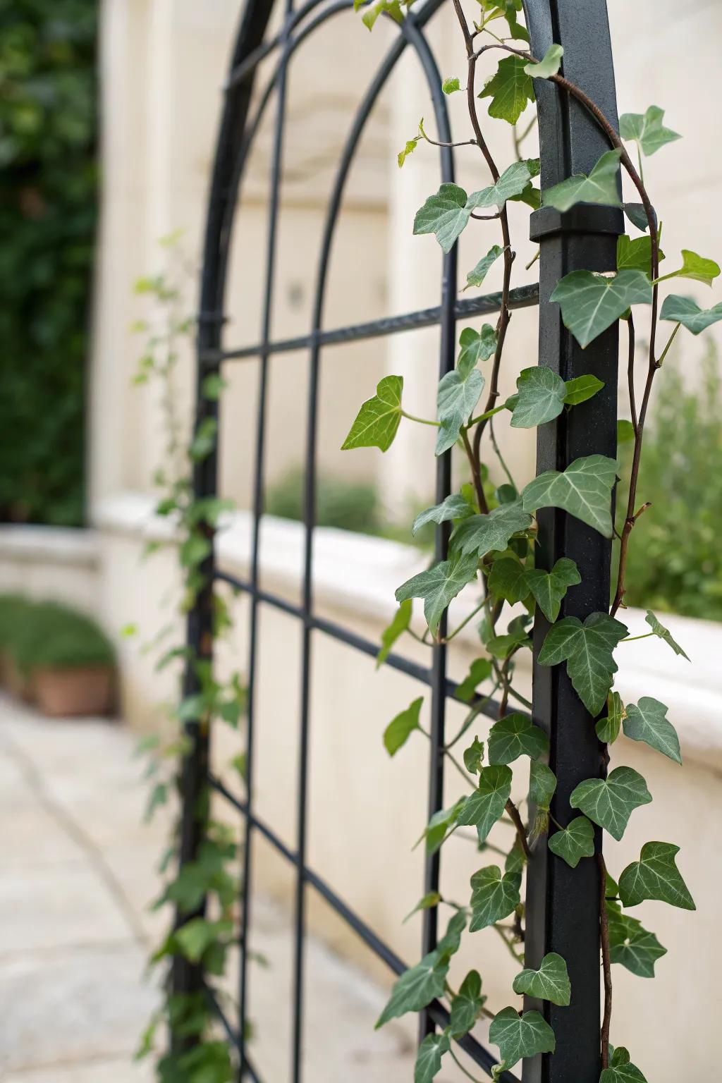 A minimalist trellis offers a chic, contemporary touch.