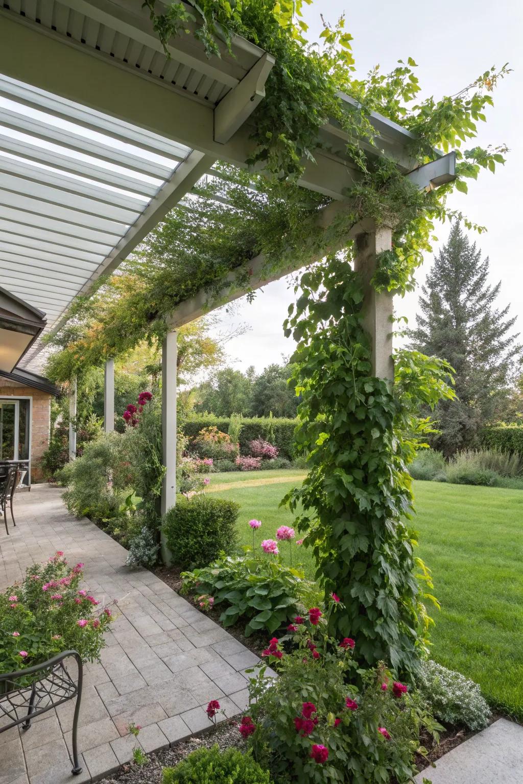 Integrate your garden with an aluminum patio cover adorned with greenery.
