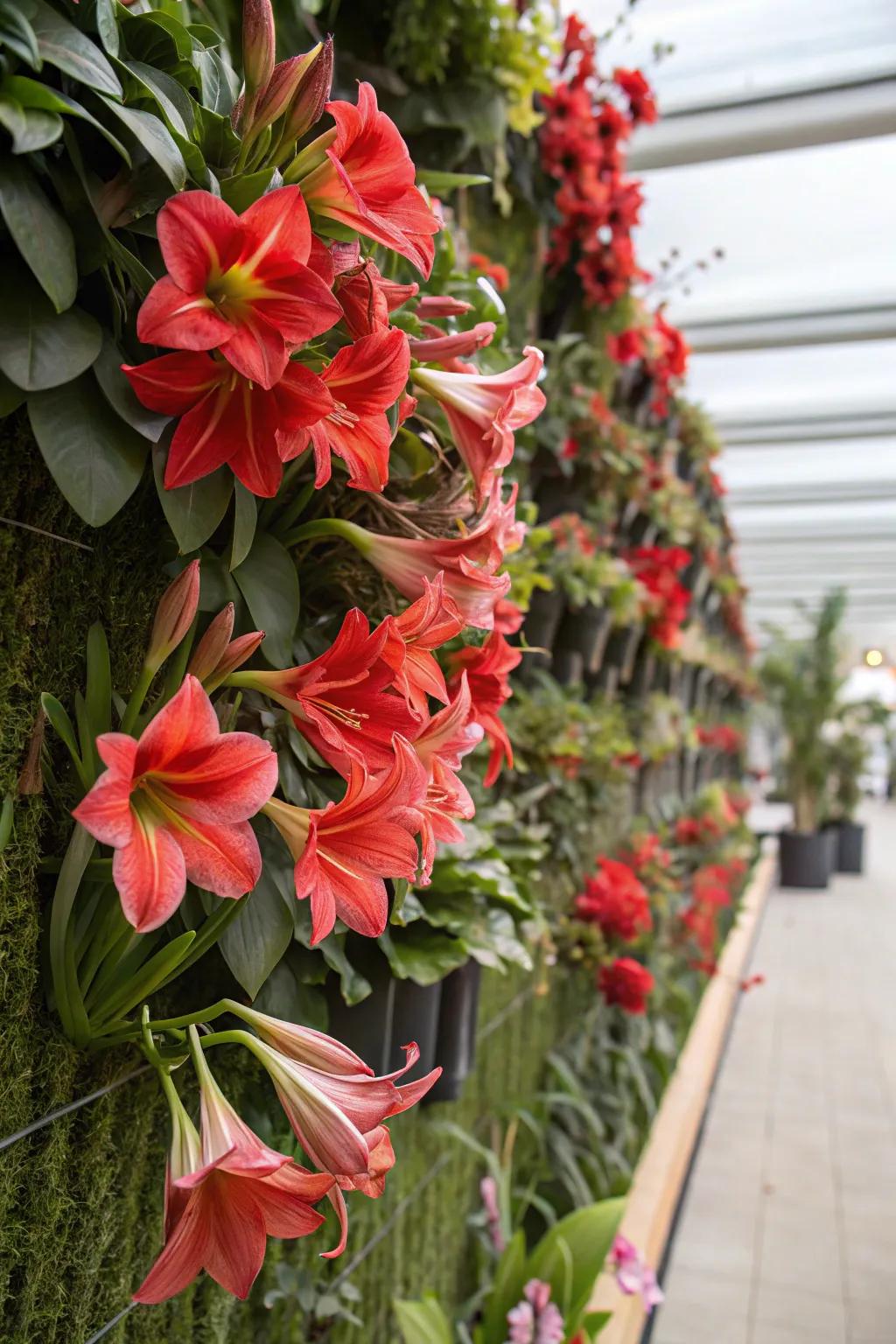 A vertical garden with amaryllis adds drama and saves space.