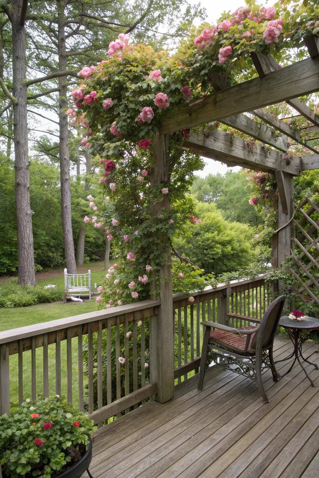 Vine-covered trellises offer natural beauty and shade.