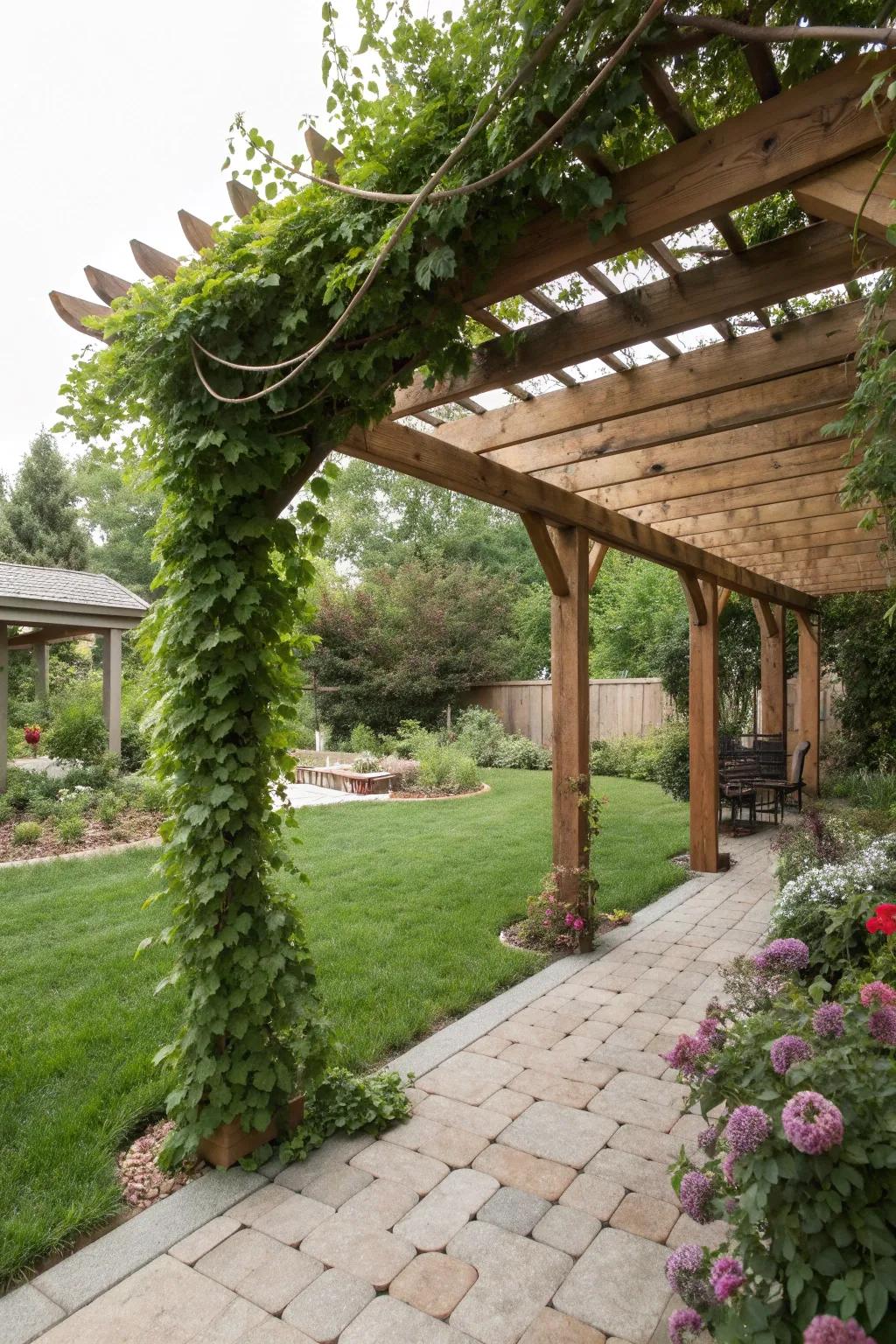 A pergola provides shade and style to outdoor areas.
