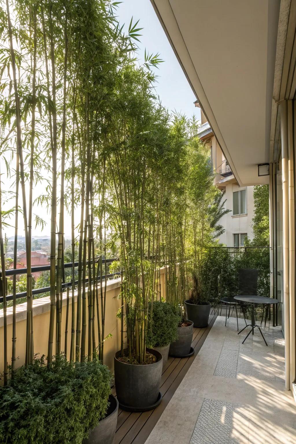Tall plants provide privacy and a tropical feel.