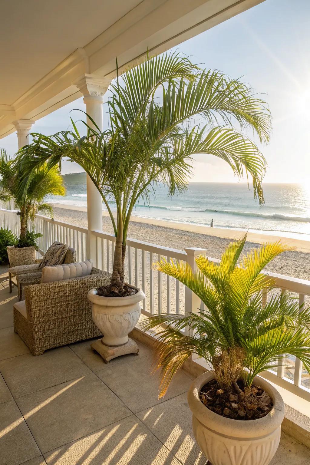 Palm trees add a tropical touch to any porch.