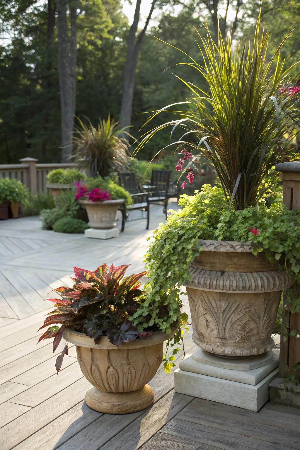 Miniature bog gardens in decorative containers add a unique touch to a patio.