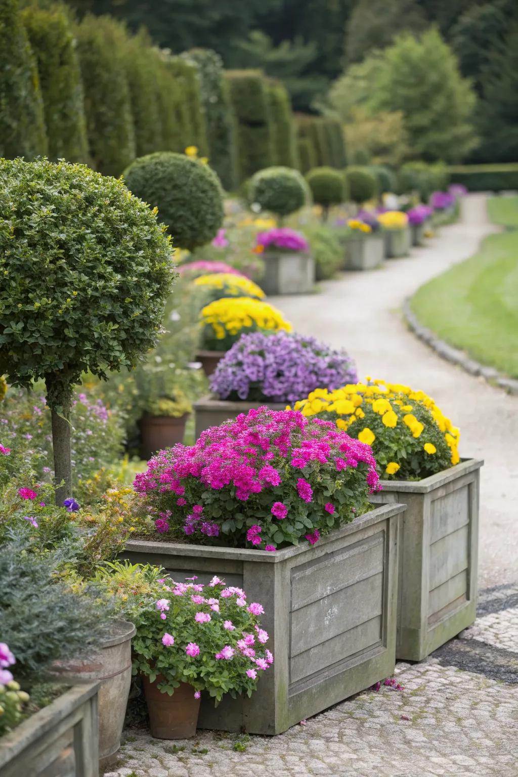 Brighten up spaces with a fusion of boxwoods and flowers.