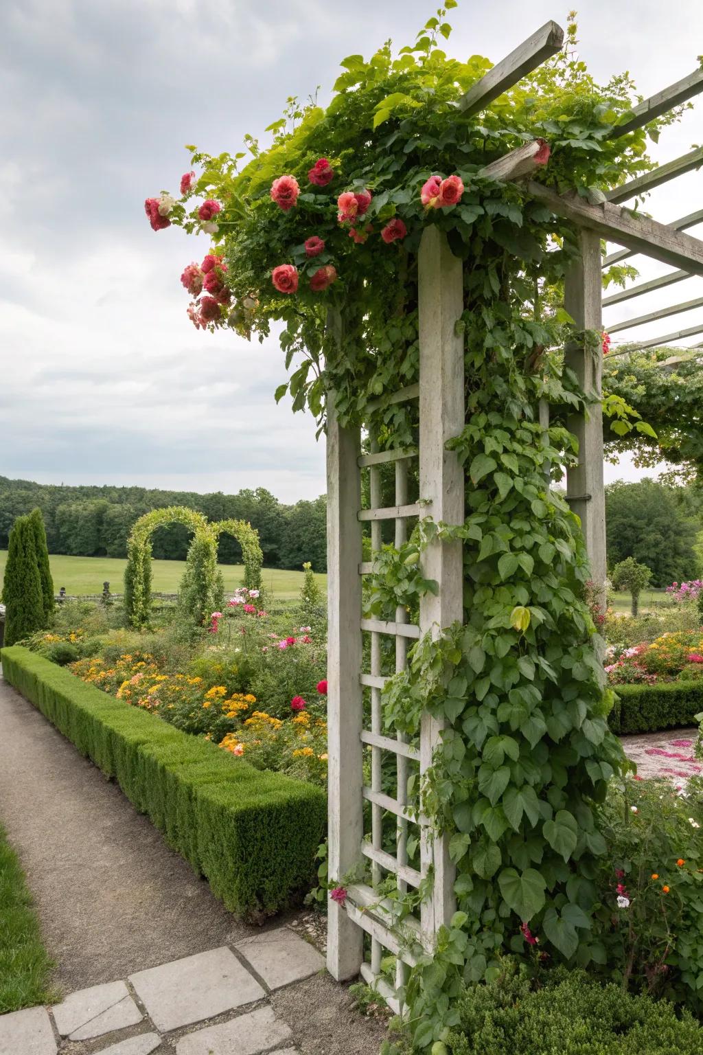 Vertical elements bring dimension to your landscape.
