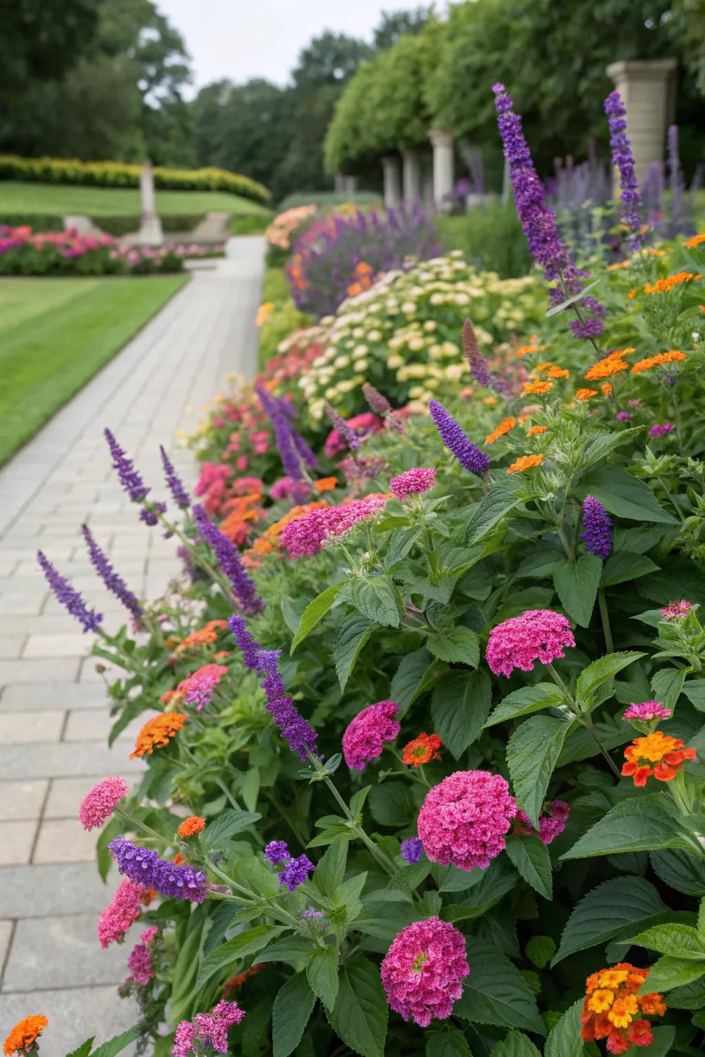 Colorful foliage adds vibrancy to drought-tolerant gardens.