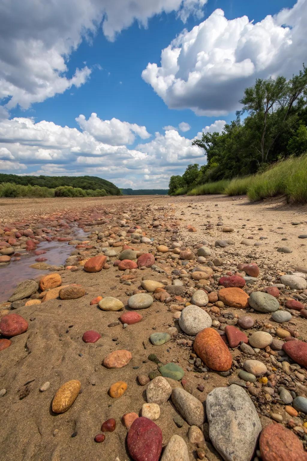 A variety of stones adds texture and interest to a dry river bed.