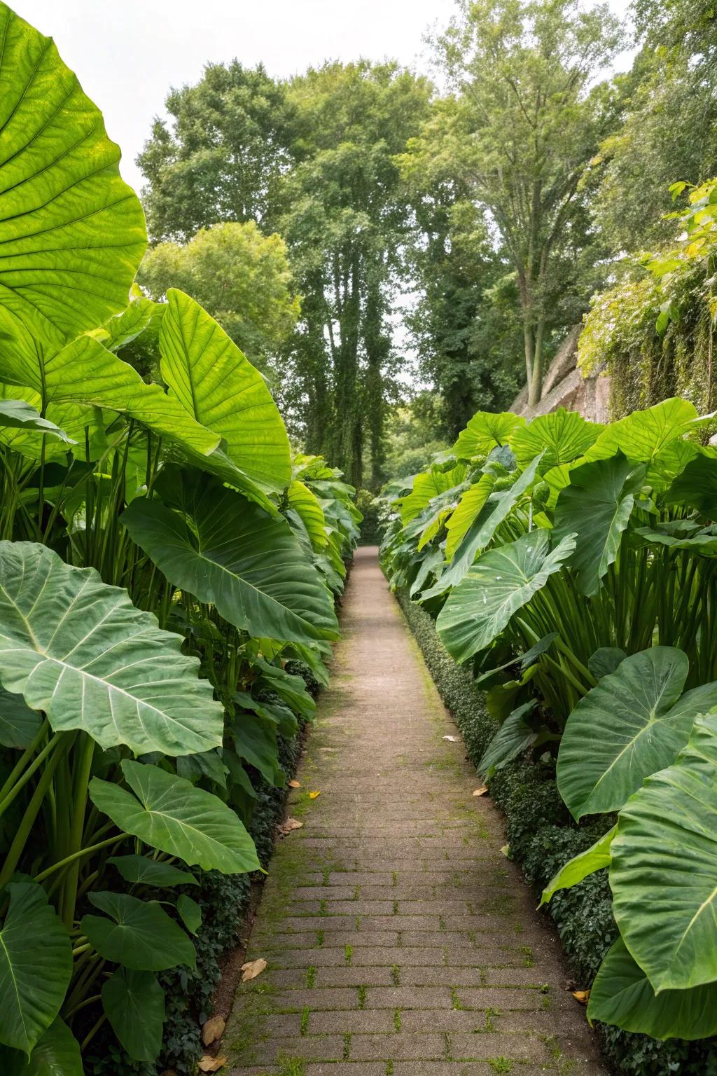 Block out the world with a lush, exotic privacy screen.