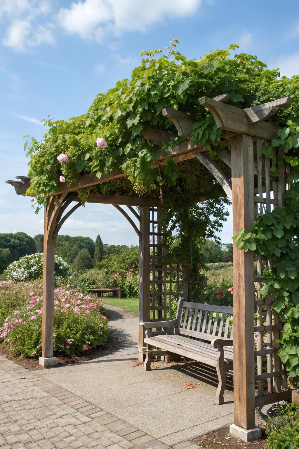 Find peace under a leafy arbor.