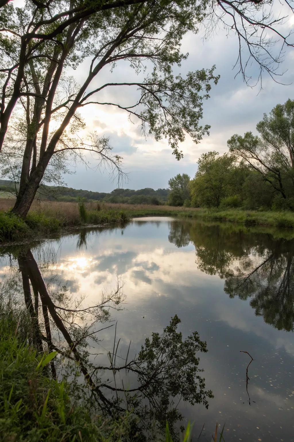 A reflective pond creates a mirror-like surface