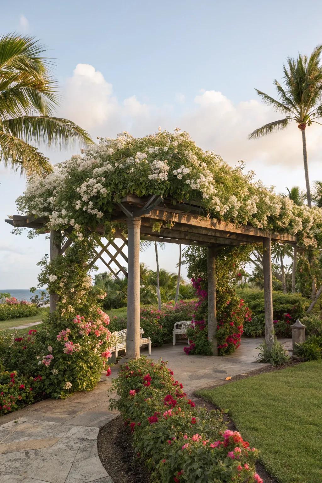 A pergola with climbing plants provides a cool, shady retreat.