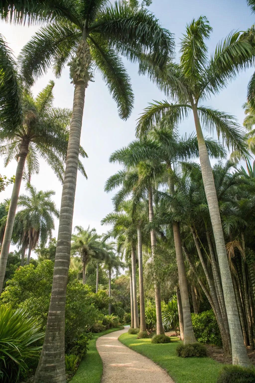 Clustered foxtail palms for a jungle-like feel.