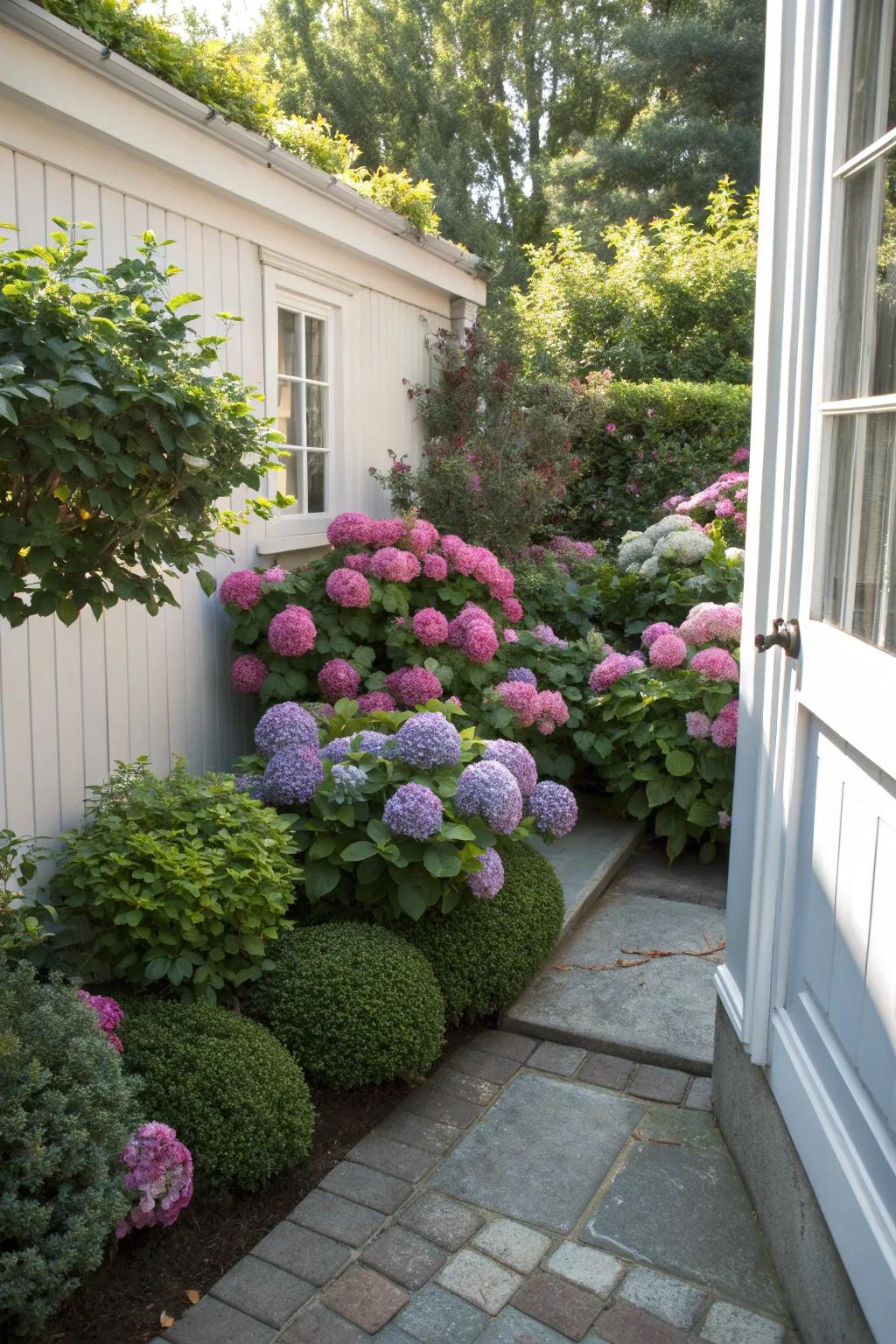 A cozy corner with lush plant life.