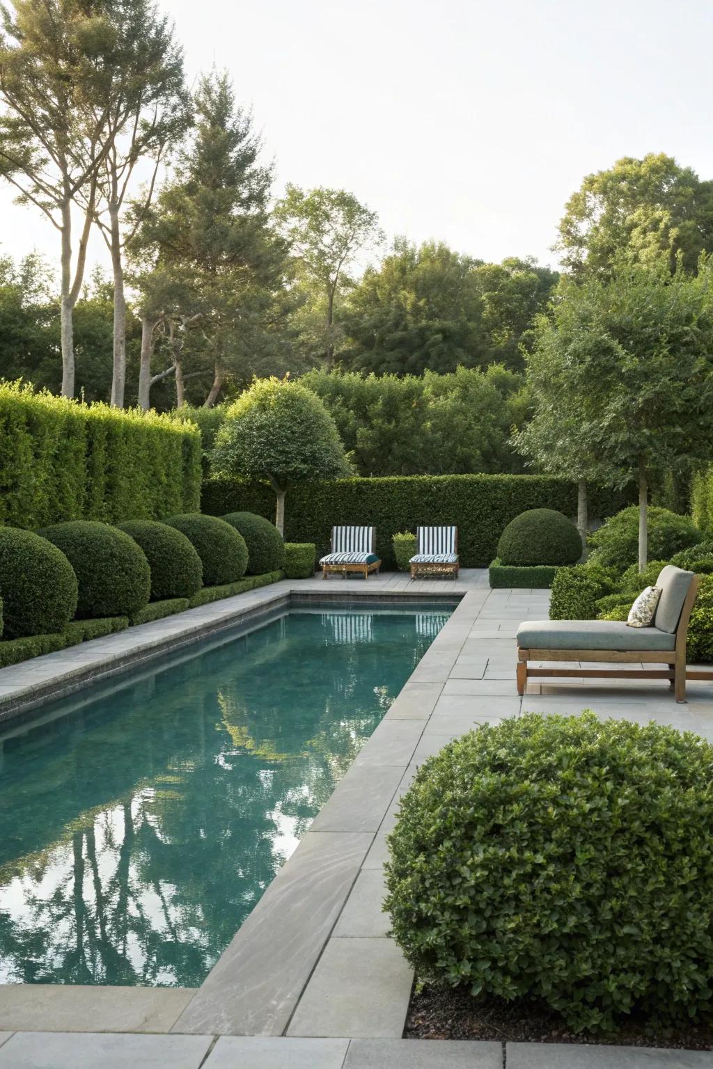 Create a private retreat with boxwood-lined poolside landscaping.
