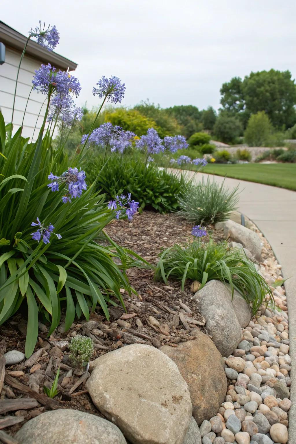 Combine natural elements with agapanthus for an earthy feel.