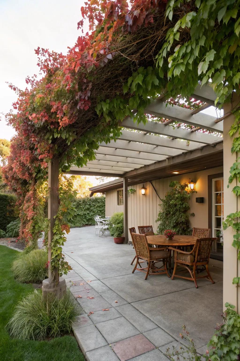 A charming pergola adding character to a garage patio.