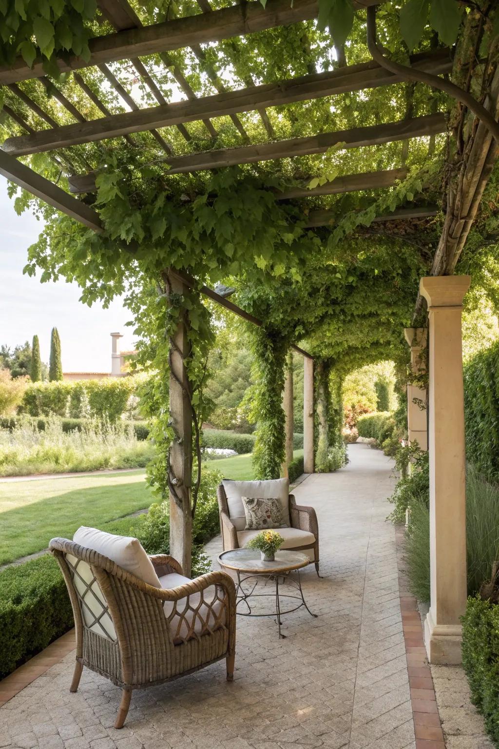 Create a private retreat with an elegant pergola.
