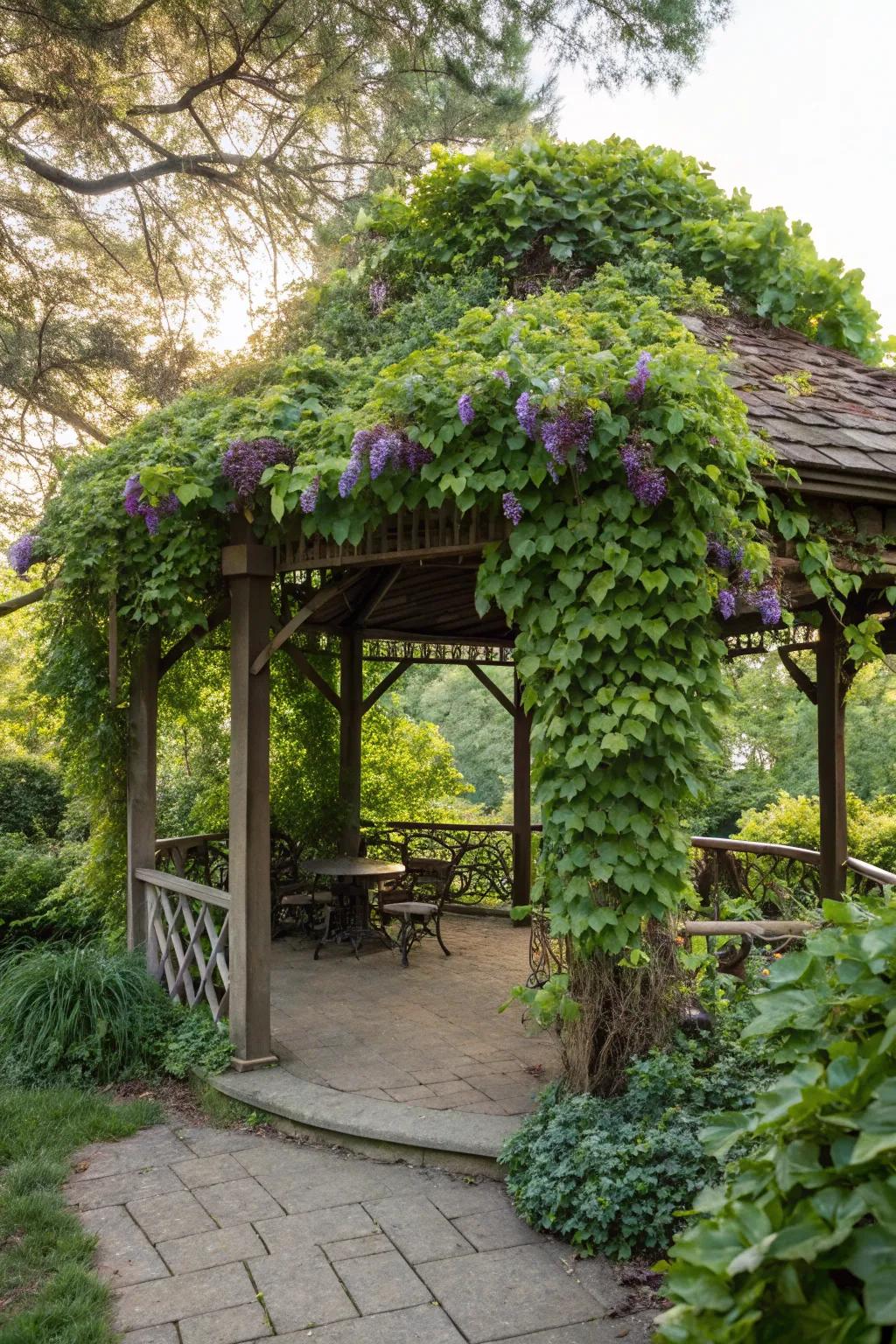 A gazebo covered in grapevines offers a perfect retreat.