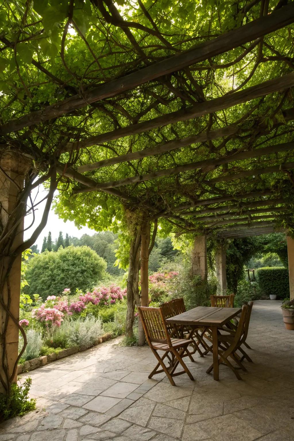 A living canopy brings nature into your patio.
