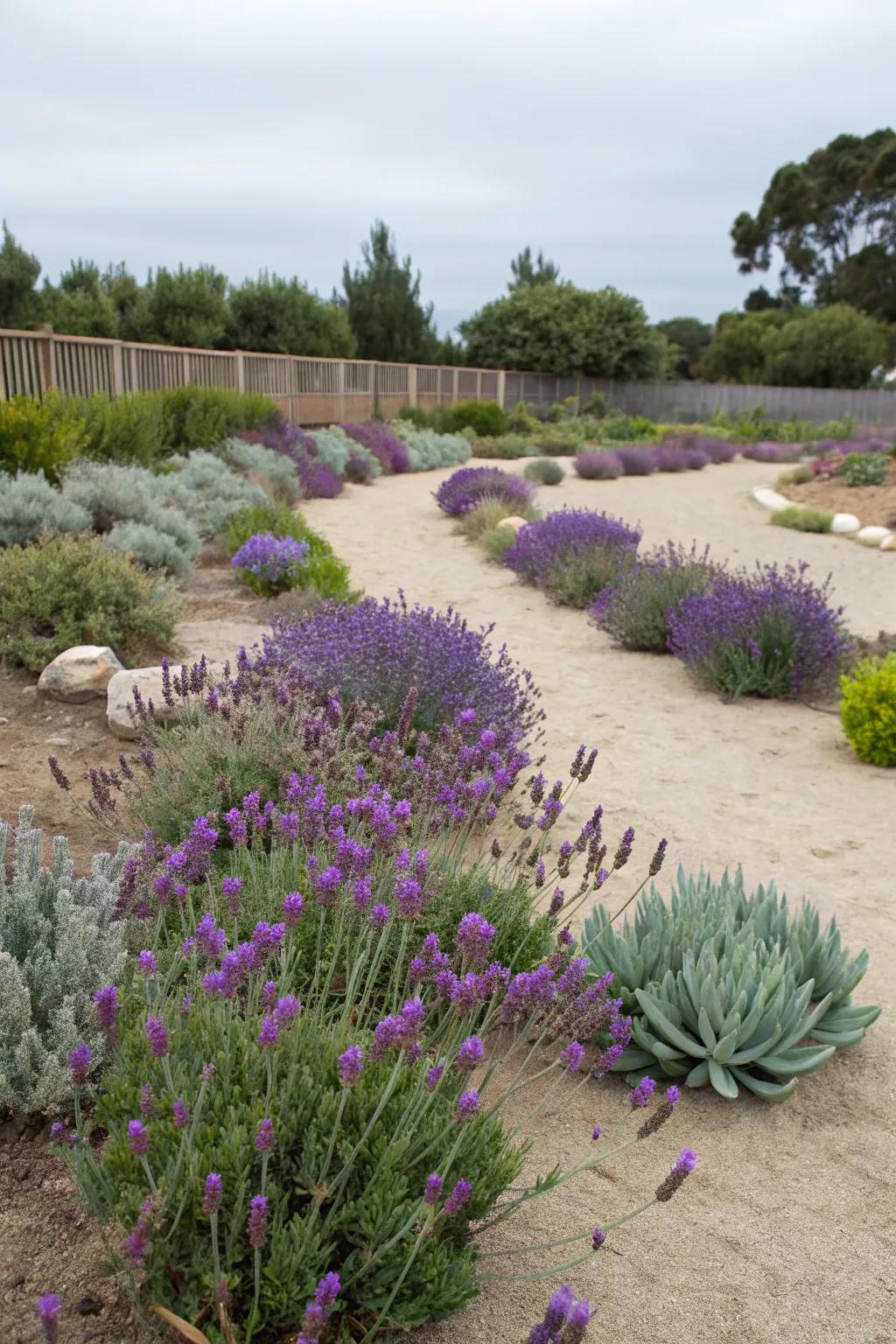 Low-maintenance plants make gardening stress-free.